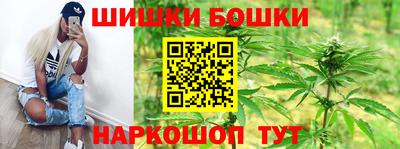 крисы Краснодар