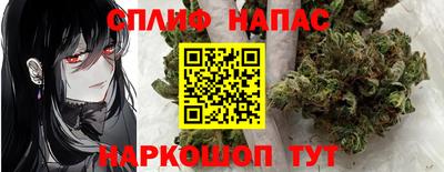 крисы Краснодар