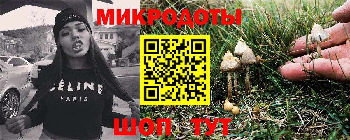 Псилоцибиновые грибы GOLDEN TEACHER  Вход с VPN  цены наркотик  Гудермес 